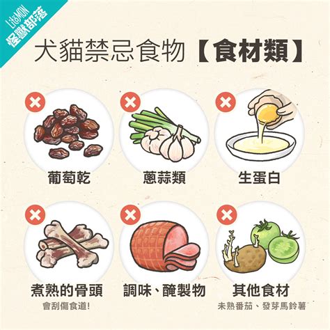 貓 禁忌|【貓食物禁忌】9大貓不能吃的食物報你知！